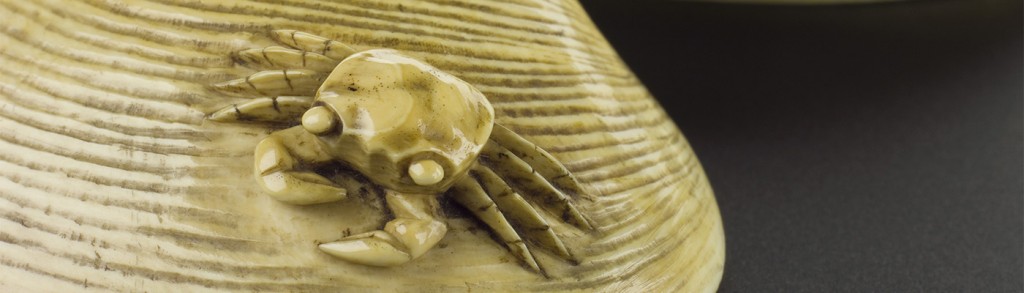 Ivory clam shell_Japan 19th century_Wellcome Images (crop)